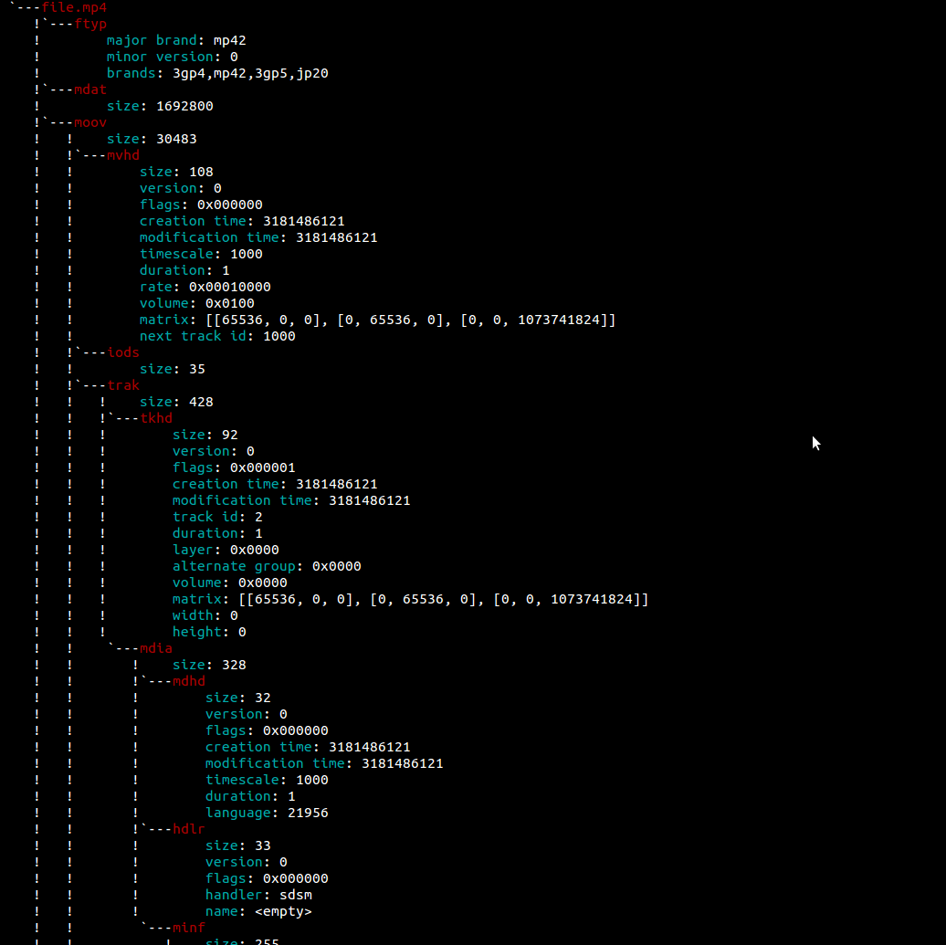 shell output