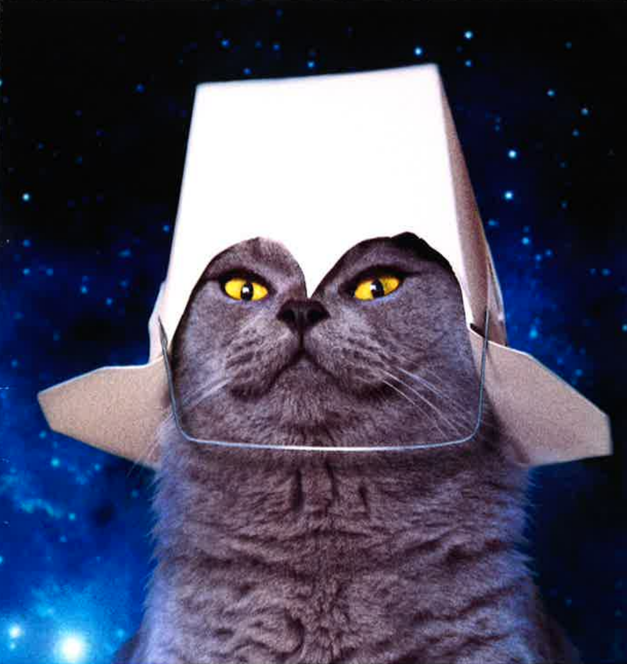 spacecat