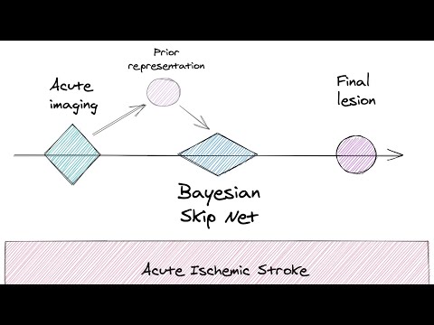 Bayesian Skip Net Presentation